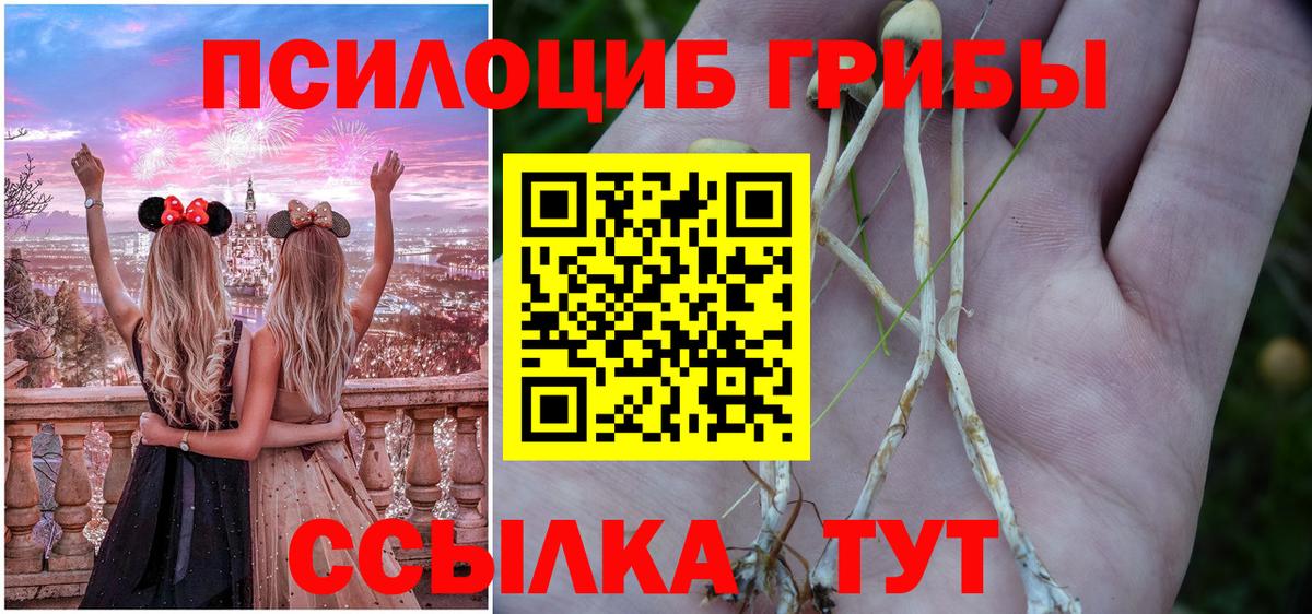 Псилоцибиновые грибы мухоморы Октябрьский
