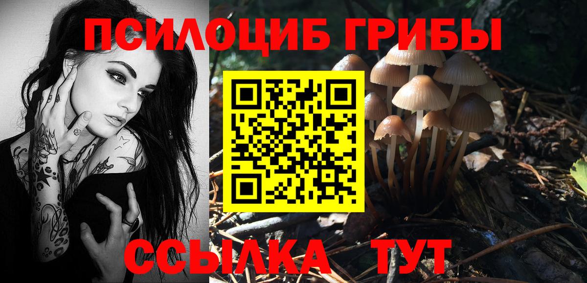 Галлюциногенные грибы GOLDEN TEACHER  Псилоцибиновые грибы Psilocybe  Октябрьский  Вход с VPN 